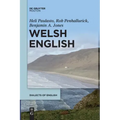Welsh English