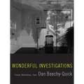 Wonderful Investigations: Essays, Meditations, Tales