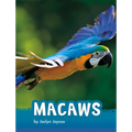 Macaws