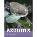 Axolotls