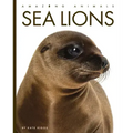 Sea Lions