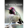 Hummingbirds - Curious Kids Press: Kids book about animals and wildlife, Children's books 4-6