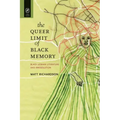 The Queer Limit of Black Memory: Black Lesbian Literature and Irresolution