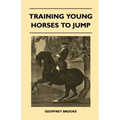 Training Young Horses To Jump