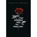 The Rose That Blossomed from the Prison Yard