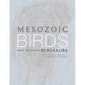 Mesozoic Birds: Above the Heads of Dinosaurs