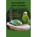 Successfully tame budgies within a few weeks: How does clicker training birds with budgerigars work? A step-by-step guide for budgies taming and parak