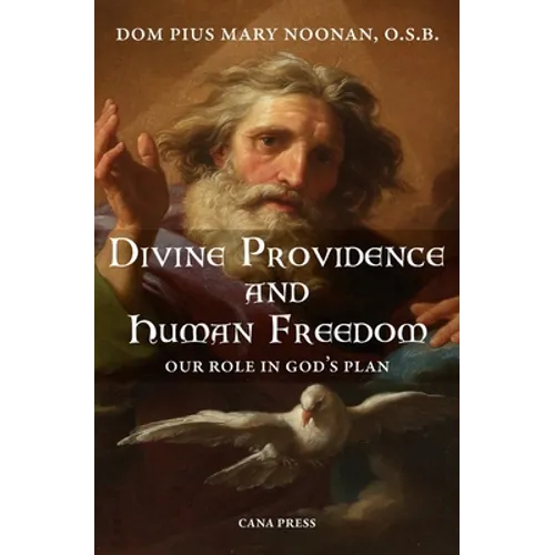 Divine Providence And Human Freedom: Our Role In God's Plan