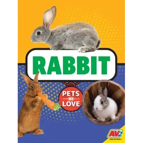 Rabbit