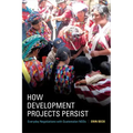 How Development Projects Persist: Everyday Negotiations with Guatemalan Ngos