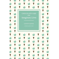 Chocolate Cake for Imaginary Lives: a collection of short stories