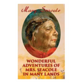 Wonderful Adventures of Mrs. Seacole in Many Lands: Memoirs of Britain's Greatest Black Heroine, Business Woman & Crimean War Nurse