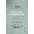 Ornithological Sketches from Spain - Stories of Spotting the Rarest Birds in the Wilds of Spain