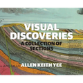 Visual Discoveries: A Collection of Sections