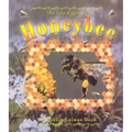 Honeybee