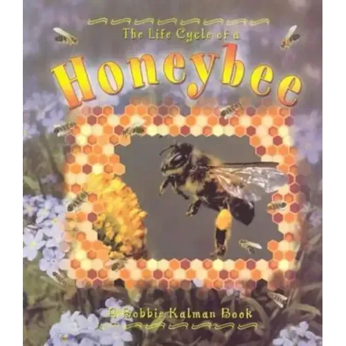 Honeybee