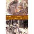 North American Tree Squirrels