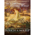 Wonders of the Invisible World