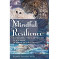 Mindful Resilience: Navigating the Labyrinth of Change in Times of Challenge