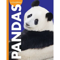 Curious about Pandas