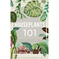 Houseplants 101: How to choose, style, grow and nurture your indoor plants