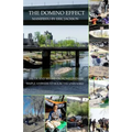 The Domino Effect - Narrow View Within My Circle: House and Retrain American's at the Entry Level