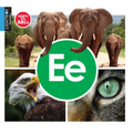 Ee