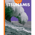 Curiosidad Por Los Tsunamis