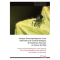 Hongos Entomopatógenos como Alternativa de Control Biológico de Sitophilus Zeamais en Grano de Maíz