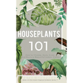 Houseplants 101: How to choose, style, grow and nurture your indoor plants.