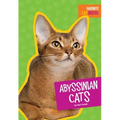 Abyssinian Cats