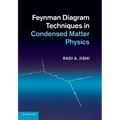 Feynman Diagram Techniques in Condensed Matter Physics