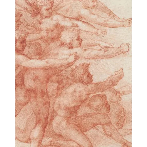 Michelangelo: Divine Draftsman and Designer