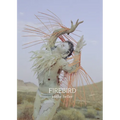 Firebird