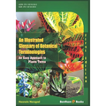 An Illustrated Glossary of Botanical Terminologies: An Easy Approach to Plant Terms
