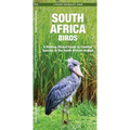 South Africa Birds: A Folding Pocket Guide to Familiar Species in the South African Region