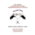 The Lobster: A Model for Teaching Neurophysiological Concepts