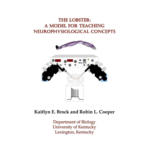 The Lobster: A Model for Teaching Neurophysiological Concepts