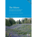 The Silures: Celtic identity in Iron Age, Roman and Early Medieval Gwent, South Wales