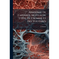 Anatomie De L'appareil Moteur De L'oeil De L'homme Et Des Vertébrés