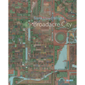 Frank Lloyd Wright: Broadacre City: MoMA One on One Series