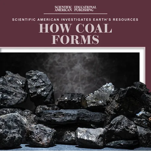 How Coal Forms
