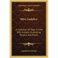 Silva Gadelica: A Collection of Tales in Irish with Extracts Illustrating Persons and Places