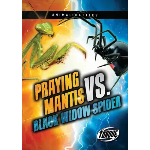Praying Mantis vs. Black Widow Spider