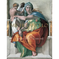 Michelangelo: The Complete Sculpture, Painting, Architecture