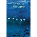 Small Cosmos