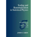 Scaling and Renormalization in Statistical Physics