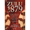 Zulu 1879 - The Anglo-Zulu War of 1879 from Contemporary Sources: First Hand Accounts, Interviews, Dispatches Official Documents & Newspaper Reports