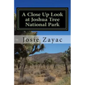 A Close Up Look at Joshua Tree National Park
