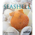 Next Time You See a Seashell